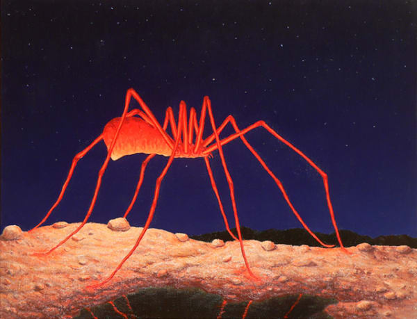 Steve Galloway, Roam, 2011