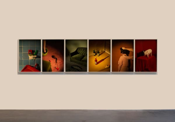 Tania Franco Klein, Mercado de Sonora, 2020