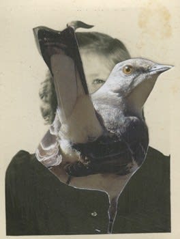 James Gallagher, Untitled, 2015