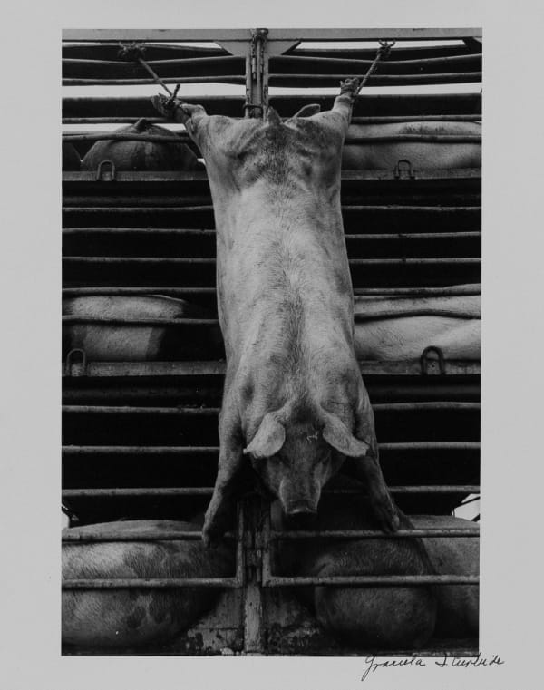 Graciela Iturbide, México