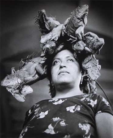 Graciela Iturbide, Nuestra Señora de las Iguanas, Juchitán, Mexico, 1979