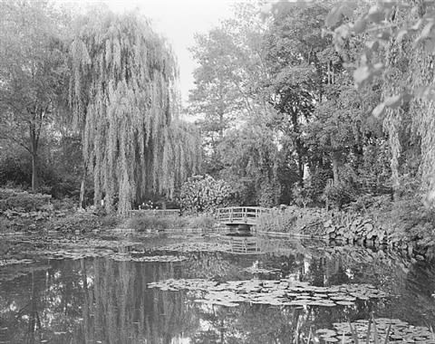 Elger Esser, Combray (Giverny III), Frankreich (Haute-Norrmandie, 27 Eure), 2010