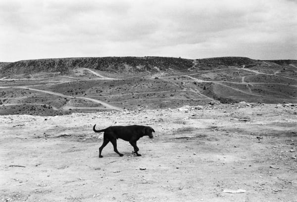 Graciela Iturbide, La frontera, Tijuana, Baja California, México, 1990
