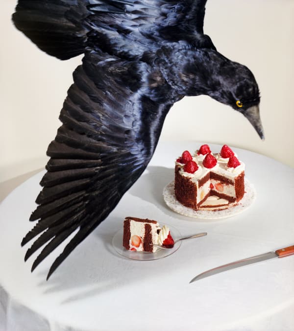 Jo Ann Callis, Raven and Cake, 1980
