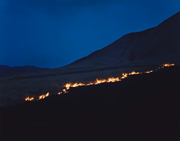 Rinko Kawauchi, Untitled, from the series Ametsuchi, 2013