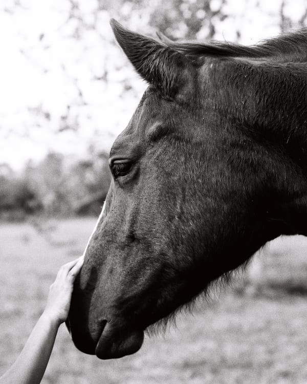 Kennedi Carter, Malana's Hands, 2020