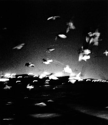 Graciela Iturbide, Pajaros en el Mar, New Castle, Inglaterra, 1998