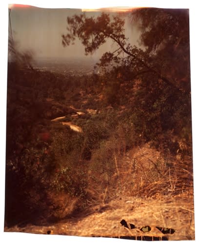 John Chiara, Western Canyon at Observatory, 2012