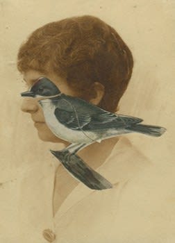 James Gallagher, Untitled, 2015