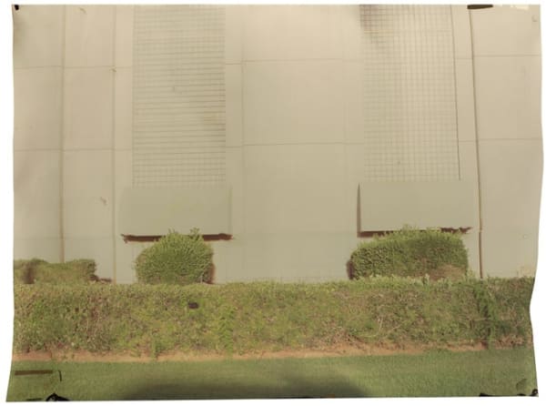 John Chiara, Harbor at Catalina, 2012