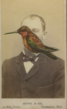 James Gallagher, Untitled, 2015