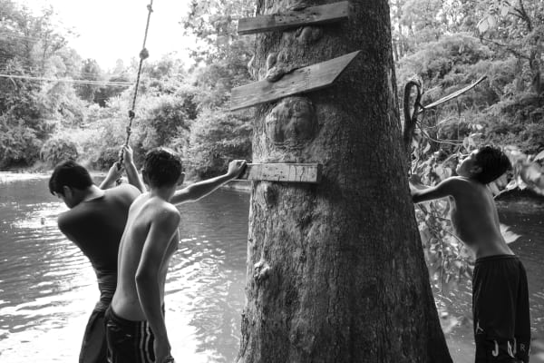 Caleb Stein, Three Boys & Tree. The Watering Hole. Poughkeepsie, NY, 2018
