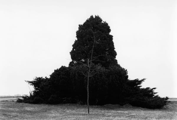 Robbert Flick, MD74291-18, 1974