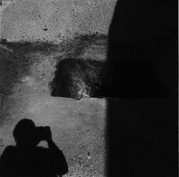 Graciela Iturbide, Autorretrato, Jardín Botánico de Oaxaca, 1999
