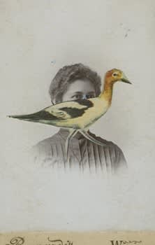 James Gallagher, Untitled, 2015