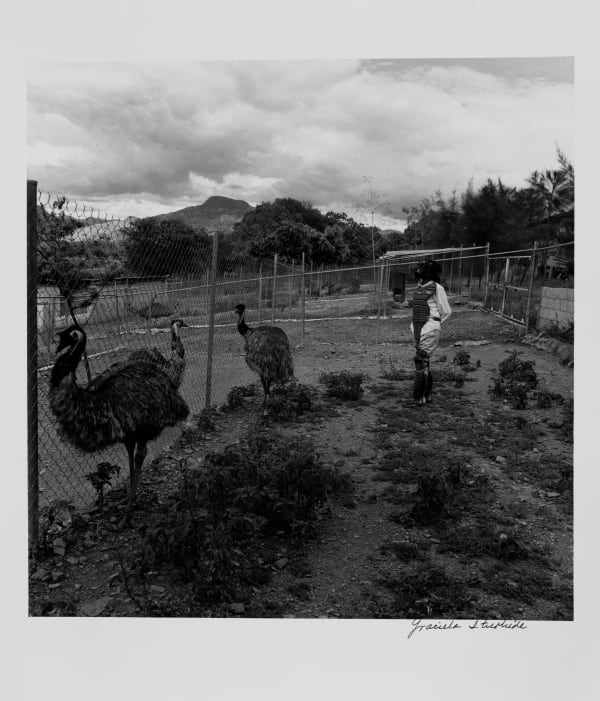 Graciela Iturbide, Francisco Toledo, Por amor al beisbol, Huajuapan de León, La Mixteca, Oaxaca, 2000