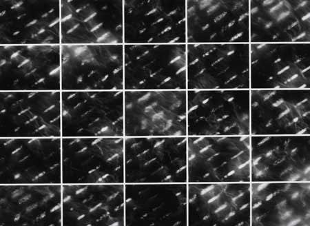 Robbert Flick, SMP 62-63, Surf Light 1