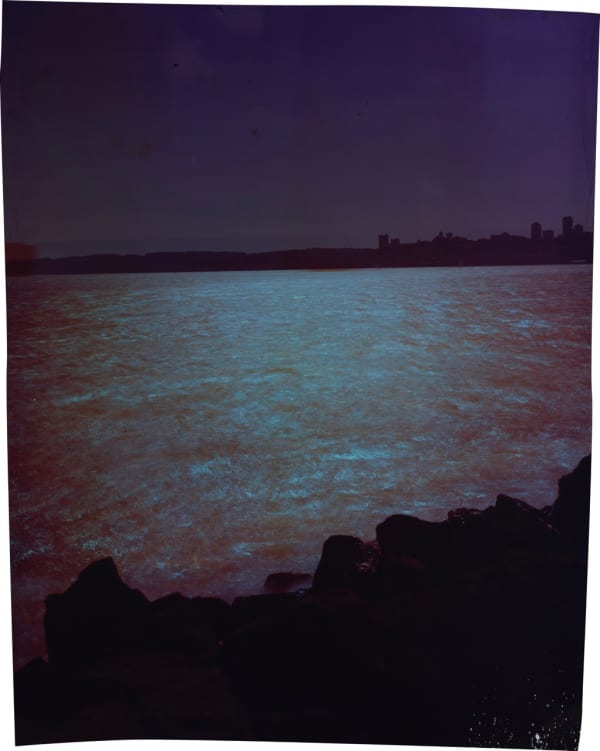 John Chiara, Avenue of the Palms at 9th Street, Treasure Island, 2023