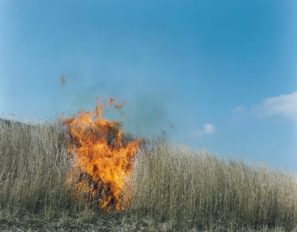 Rinko Kawauchi, Untitled, from the series Ametsuchi, 2012