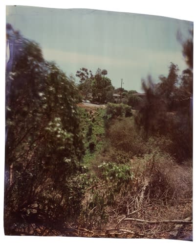 John Chiara, Will Rogers at Sunset, 2012