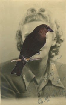 James Gallagher, Untitled, 2015