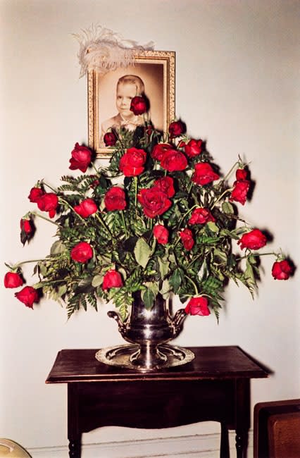 William Eggleston, Untitled, (Roses), 1970-1973