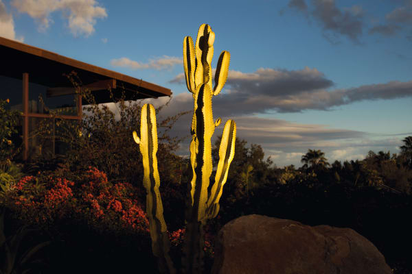 Diana Markosian, Eli's House, from Santa Barbara, 2019
