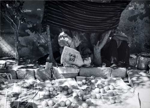 Manuel Alvarez Bravo, Trampa Puesta [Set trap], 1930's