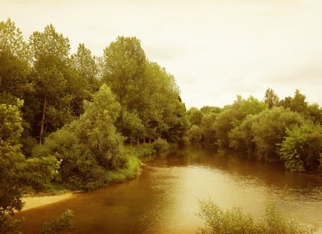 Elger Esser, La Seine a Clerey I, 2017