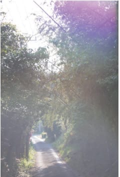 Rinko Kawauchi, Untitled, from the Series "Under the Same Sky", 2021