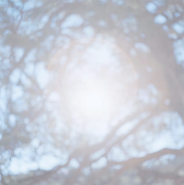 Rinko Kawauchi, I006 Untitled, from the series of "Illuminance"