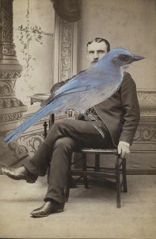 James Gallagher, Untitled, 2015