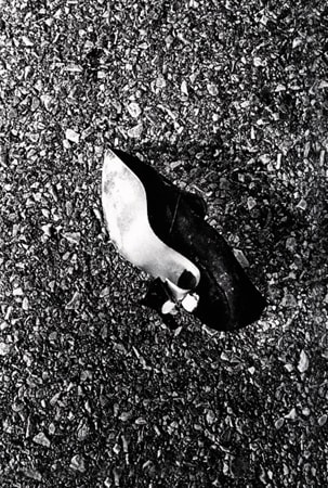 Daido Moriyama, Untitled (high heel)