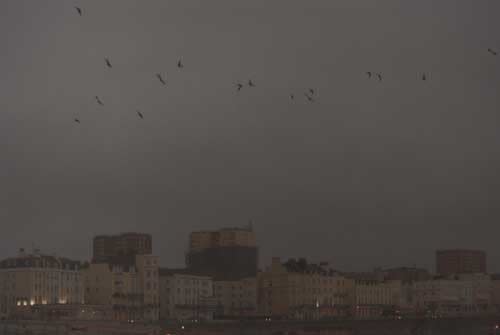 Rinko Kawauchi, Untitled, [Starlings over rooftops]From the series "Murmuration", 2010