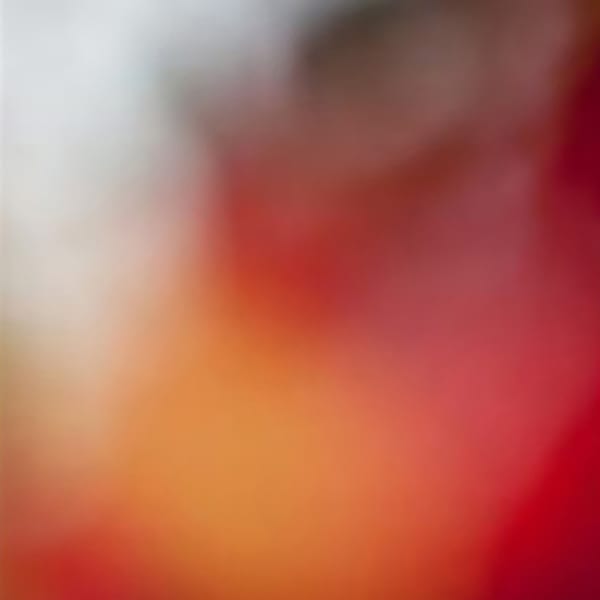 In My Mother's Garden