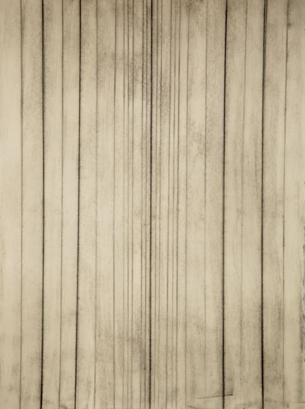Diane Rosenblum, Untitled, 2015