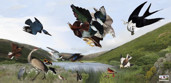 Diane Rosenblum, John James Audubon Painting 1990 - 2008