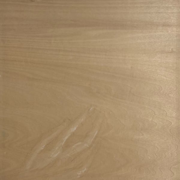 Việt Lê, Untitled (Mudra H), 2022-2024