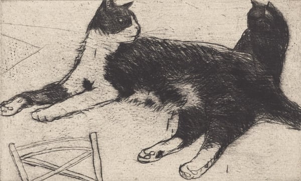 Elizabeth Blackadder RSA Fred, 2000 Drypoint 8.5 x 14 cm Edition of 80 plus 3 artist's proofs