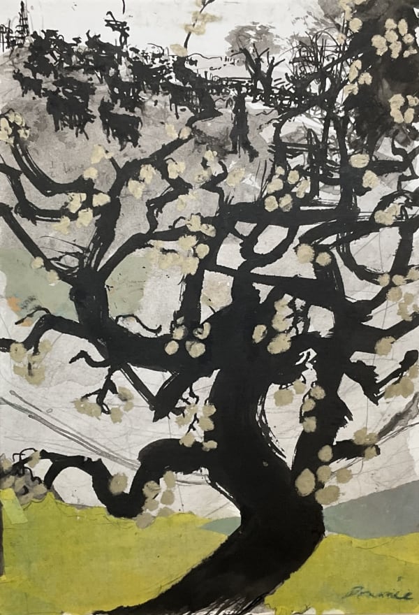 Kate Downie RSA Golden Crab Apple (study) Ink, pastel and collage Image: 21 x 30 cm Frame: 42 x 31 cm