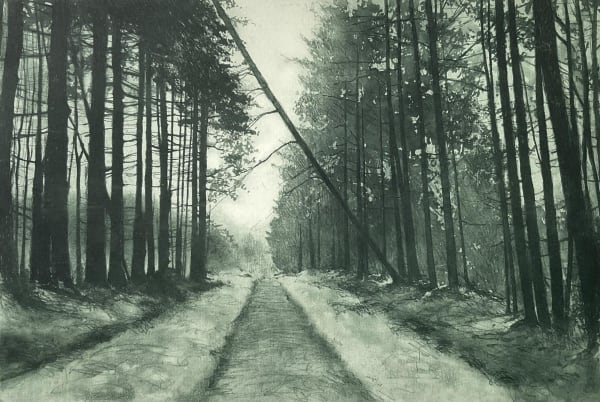 Gregory Moore Does it make a Sound?, 2025 Etching Unframed: 26 x 38 cm Framed: 48 x 59 cm Edition of 30