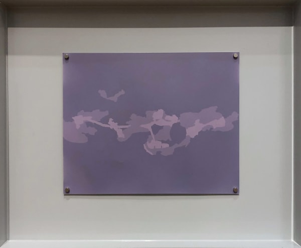 Natasha Bucheit Camouflage as daily practice I Lumen print on resin coated photographic paper, steel 41.5 x 34 x 3 cm