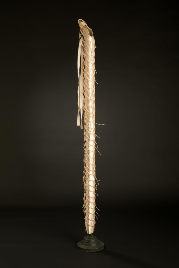 Susie Johnston, Columna, 2024