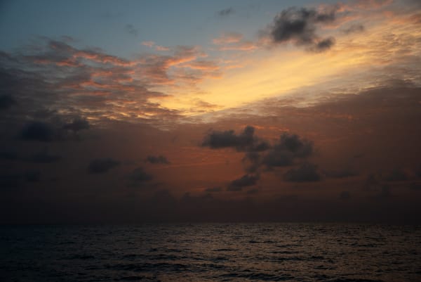 Denise DeLaunay-Wood Sunrise, 2019 Photographic print - Dibond lustre 42 x 30 cm