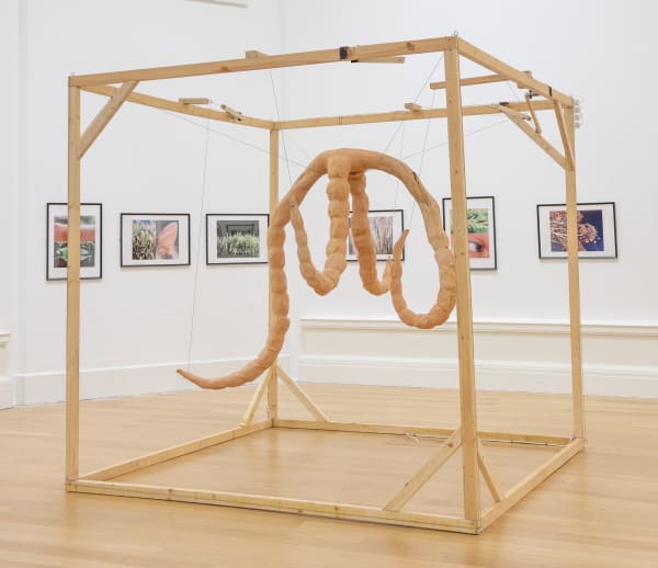 Anna J Brodie Donna, 2024 Wood, latex, paper and foil armature, metal, motors, electrical cord 240 x 240 x 240 cm