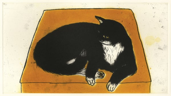 Elizabeth Blackadder RSA Louis in a Box, 2013 Etching Image size: 18 x 36 cm Paper size: 50 x 56 cm Edition of 50