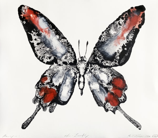 Stuart MacKenzie RSA Species Morphology: Butterfly 7, 2021 Oil on paper 30 x 35 cm