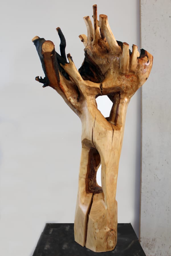 Sasha Ballon Heartwood (figure in Malus Domestica), 2023 Apple wood, danish oil 63 x 28 x 12 cm