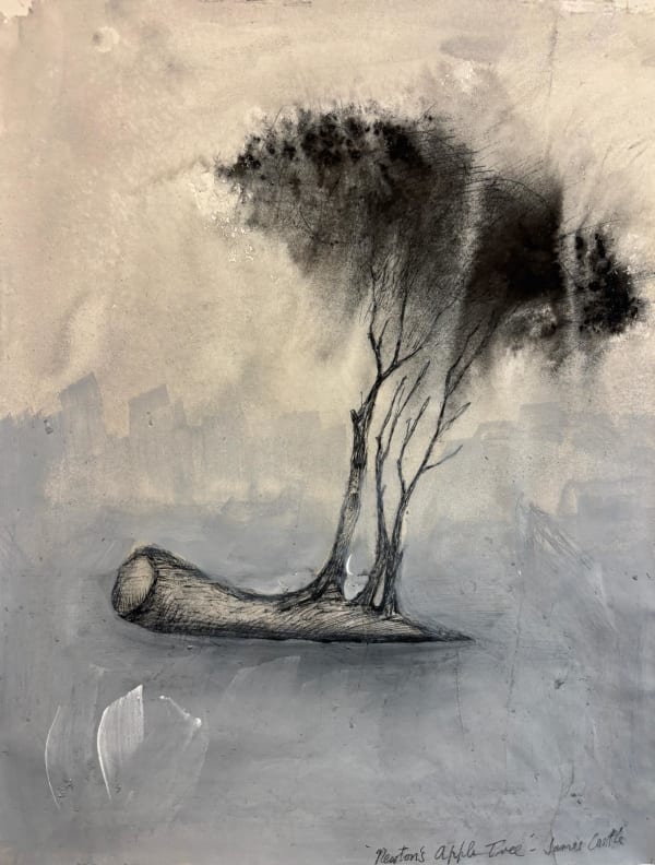 James Castle RSA Newton's Apple Tree Mixed media Image: 42 x 30 cm Frame: 62 x 51 cm