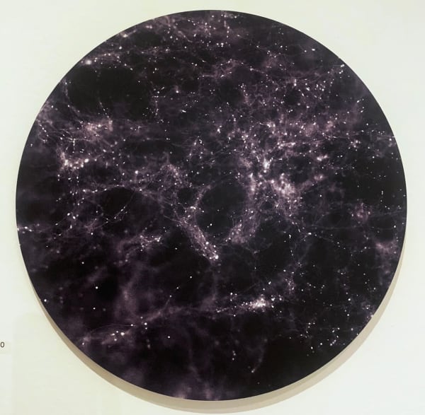 Ella Josephine Campbell, Myco-Nebula, Tarantula, 2023